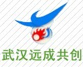 中國武漢遠(yuǎn)成共創(chuàng)科技有限公司