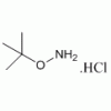 O-叔丁基羥胺出現(xiàn)被限制詞語  39684-28-1