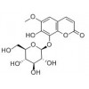 秦皮苷性質(zhì)  秦皮苷價(jià)格