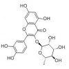 槲皮苷性質(zhì)   槲皮苷作用