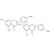 異銀杏素_CAS:548-19-6，Isoginkgetin