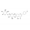 蒙花苷 CAS:480-36-4